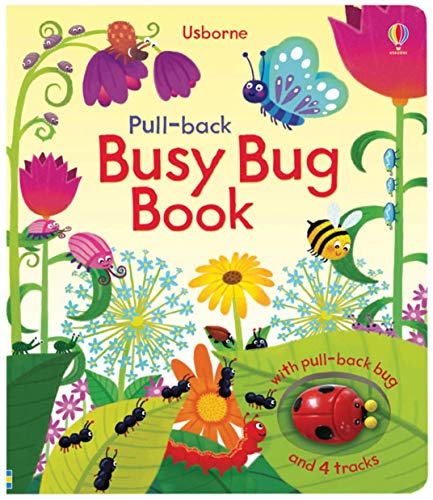 Cover of Busy Bug Book