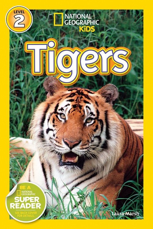 Cover of Tigers