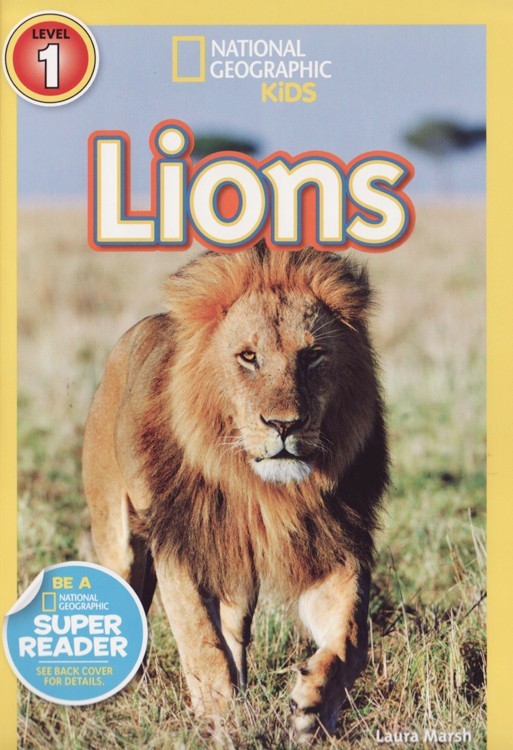 Cover of Lions