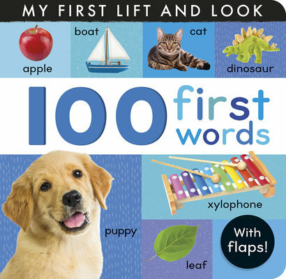Cover of 100 First Words