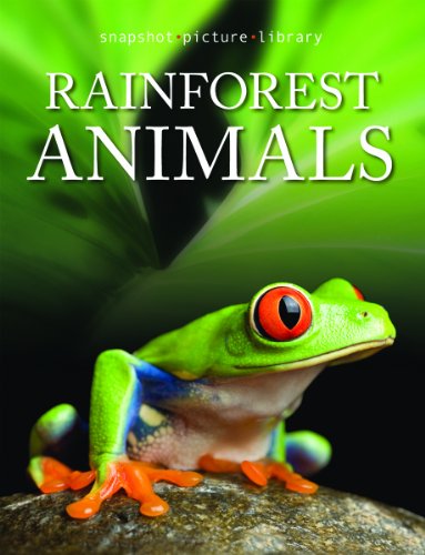 Cover of Rainforest animals